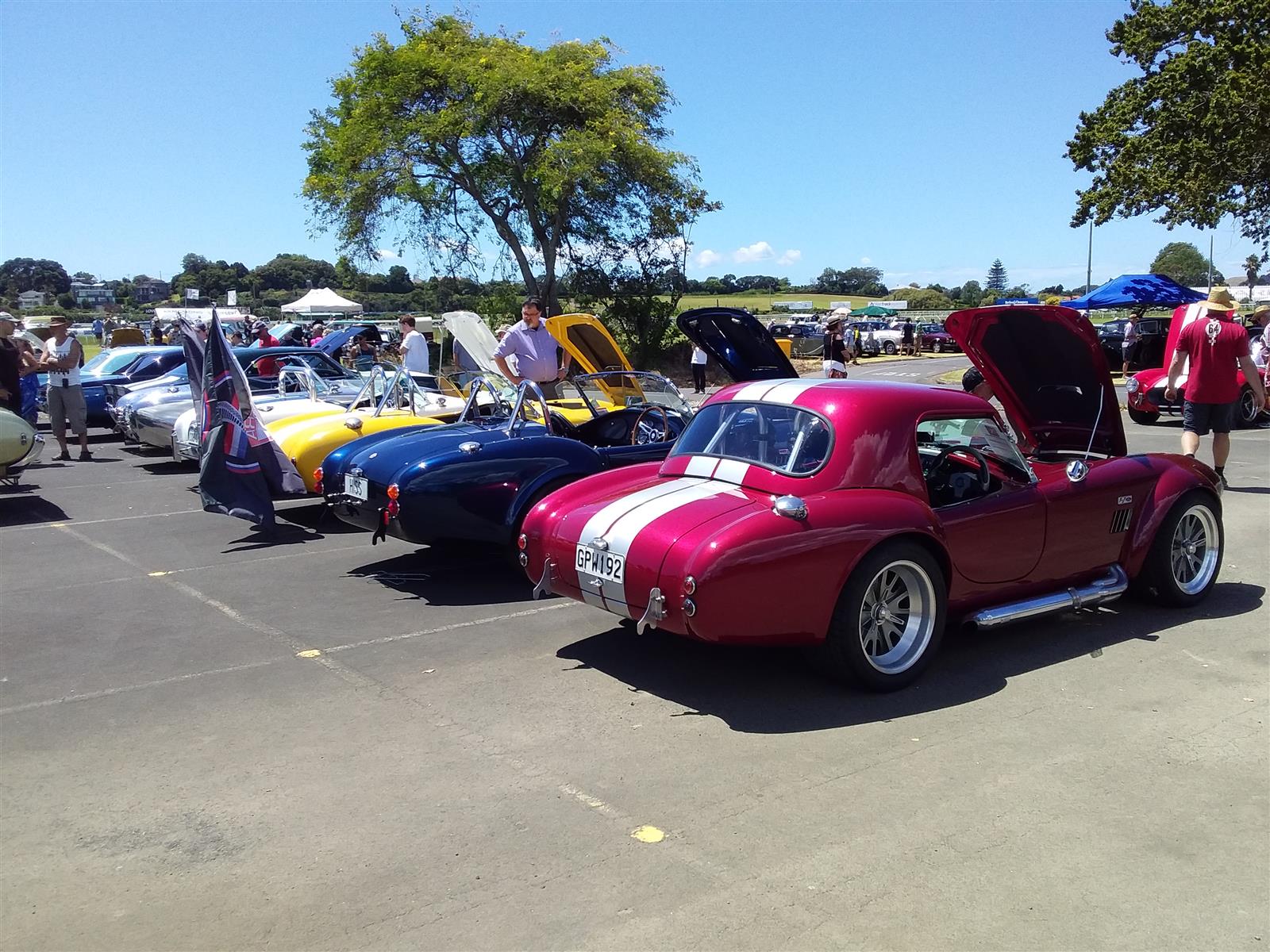 Cobra Club NZ