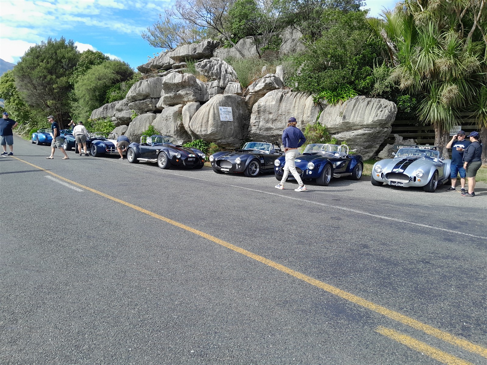 Cobra Club NZ